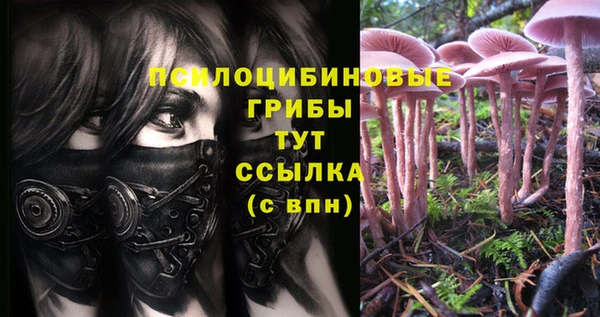 экстази Магас