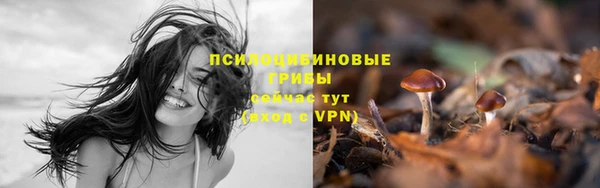 экстази Магас