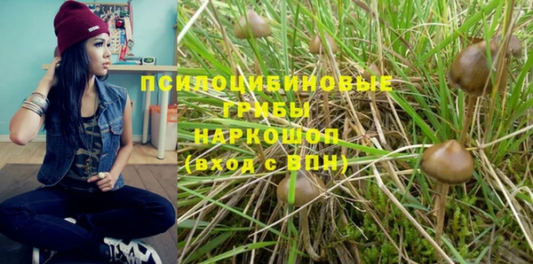 дмт Майский
